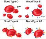 Blood Type Resources
